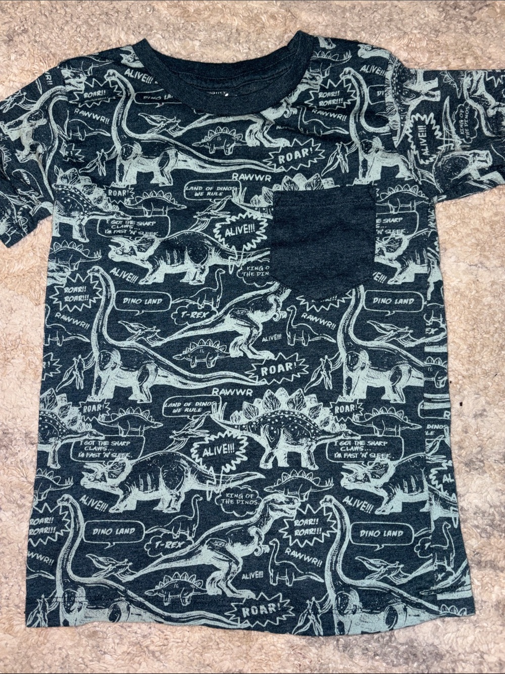 3/$20! Eighty Eight green Tee Light Teal Dinosaur Print boys kids size 5 shirt